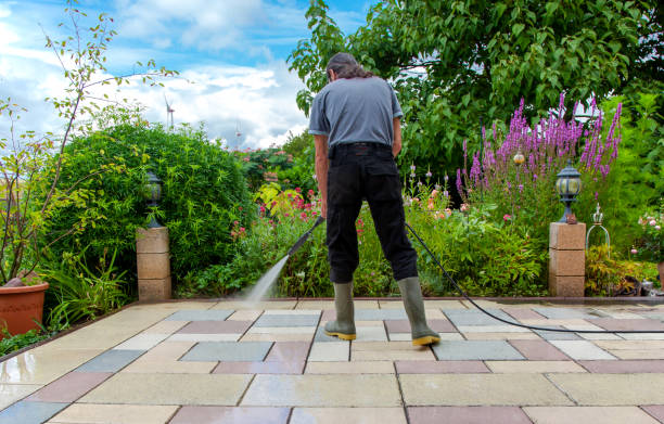 Best Driveway Pressure Washing  in Olean, NY